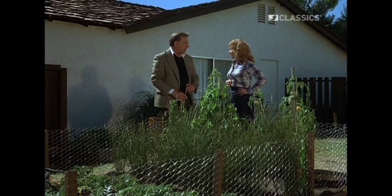 Screenshot_20200731-094843.jpg