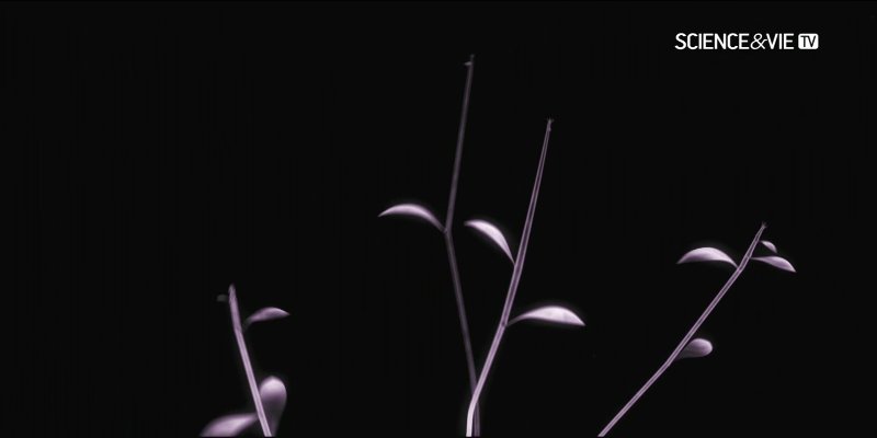 Screenshot_20200731-193801.jpg