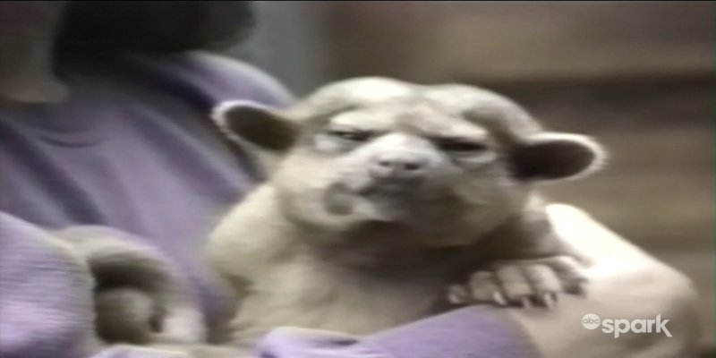 Screenshot_20200801-190318.jpg