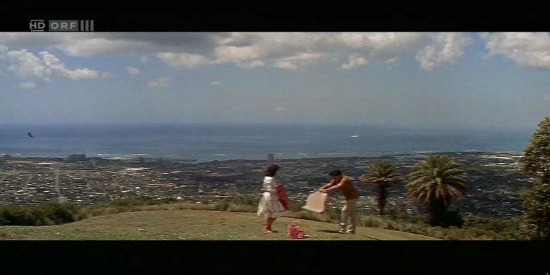 Screenshot_20200816-203202.jpg