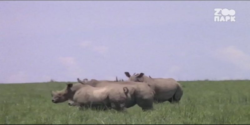 Screenshot_20200902-112940.jpg