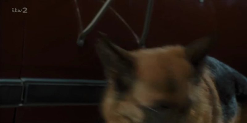 Screenshot_20200905-201912.jpg