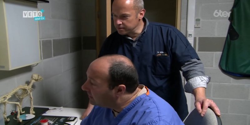 Screenshot_20200913-095237.jpg