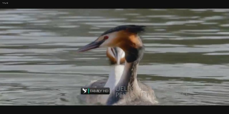 Screenshot_20200917-172047.jpg