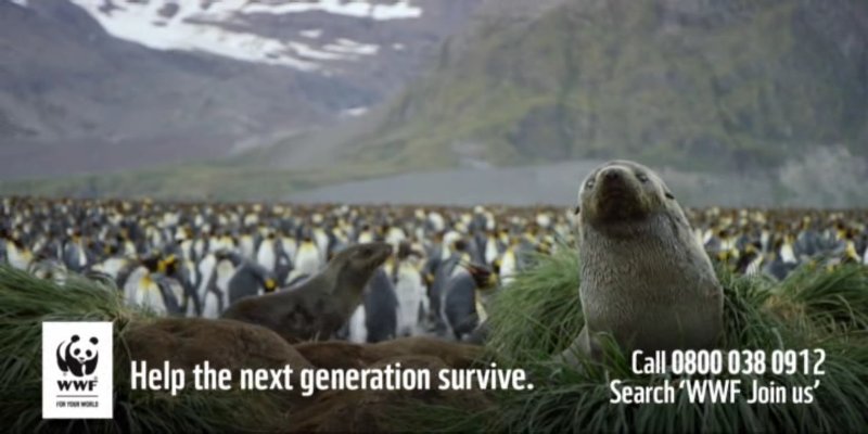 Screenshot_20200918-193236.jpg