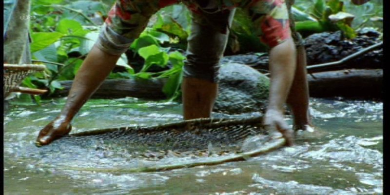 Screenshot_20200918-193609.jpg