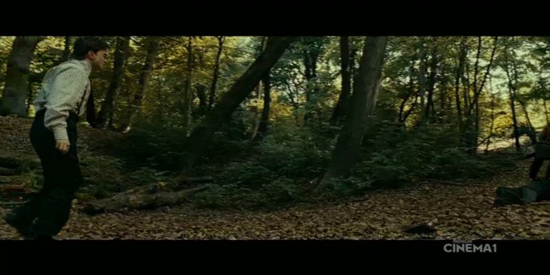 Screenshot_20200928-185742.jpg