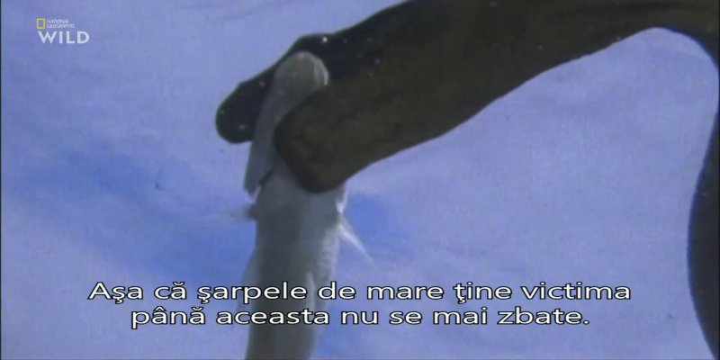 Screenshot_20201015-230038.jpg