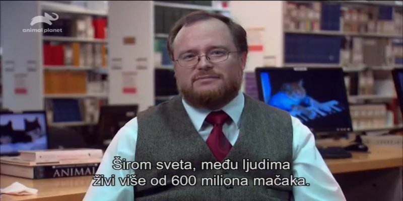 Screenshot_20210109-130705.jpg
