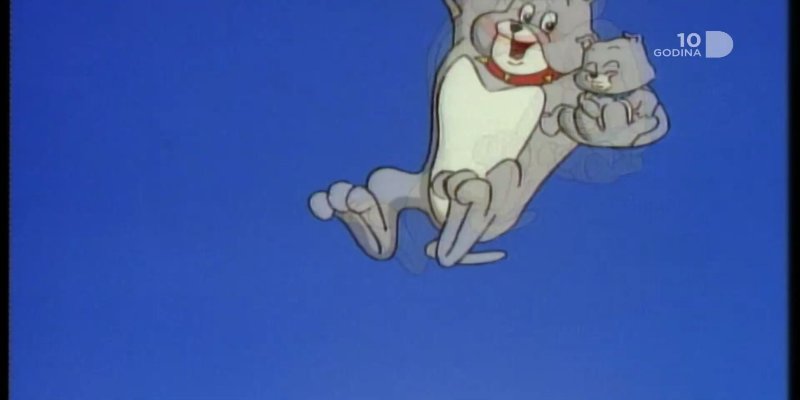 Screenshot_20210109-131948.jpg