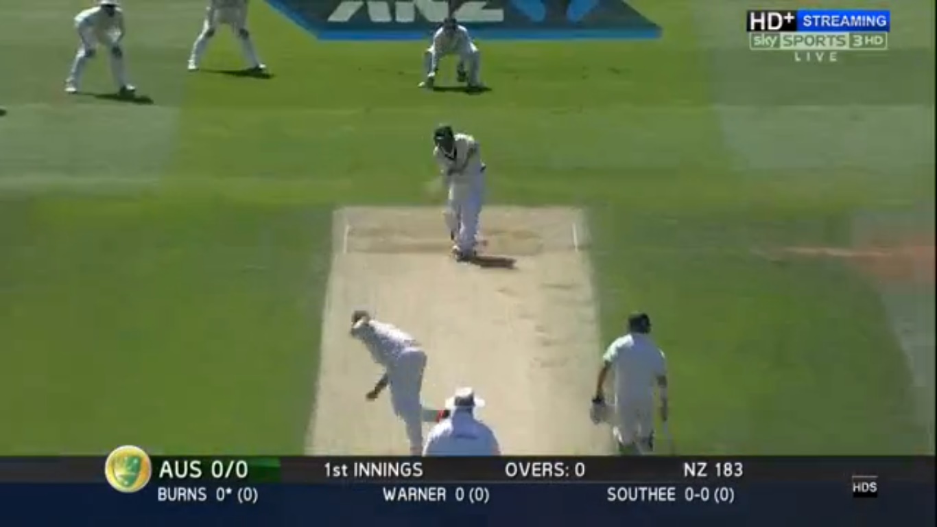 nz22.jpg