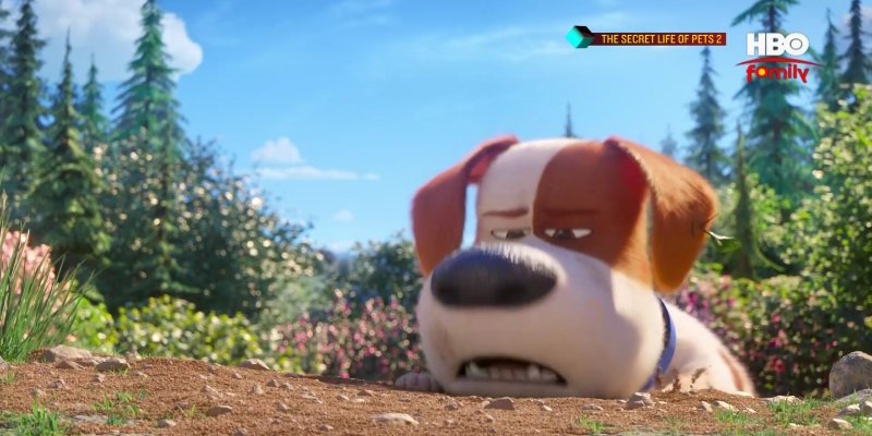 Screenshot_20210206-130710.jpg