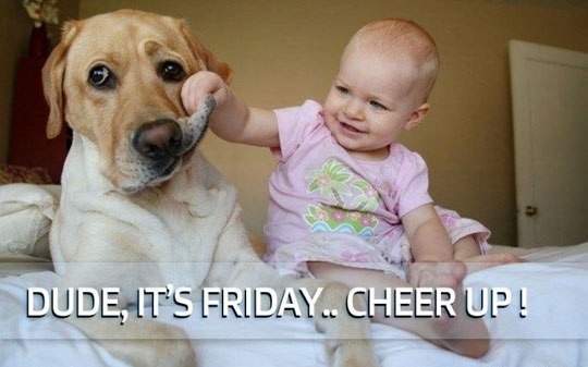 funny-friday-dude-it-is-friday-cheer-up.jpg