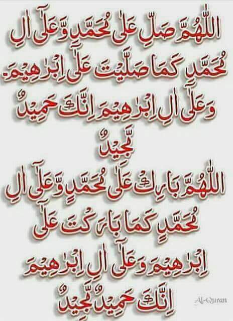 FB_IMG_1455370387337.jpg