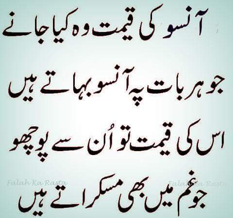 FB_IMG_1456233714505.jpg