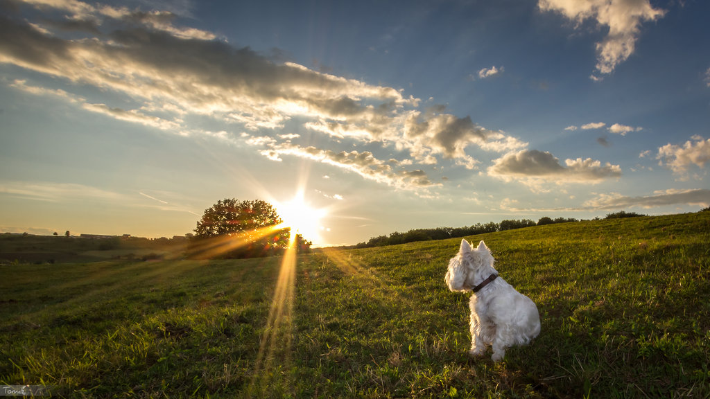 even_she_recognizes_the_beauty_of_nature_by_tomazk27-d68rkmh.jpg