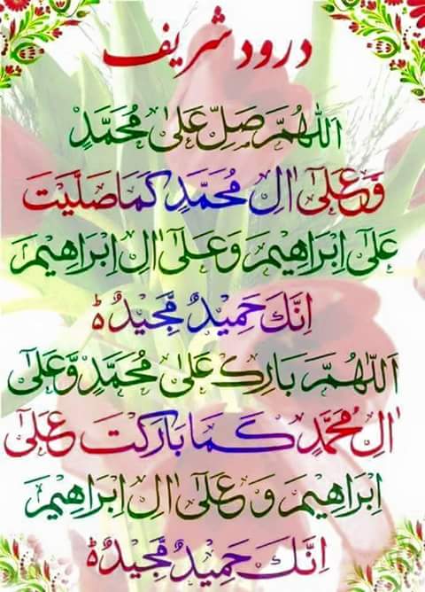 FB_IMG_1455299829595.jpg