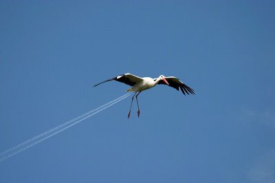 115724_412.jpg