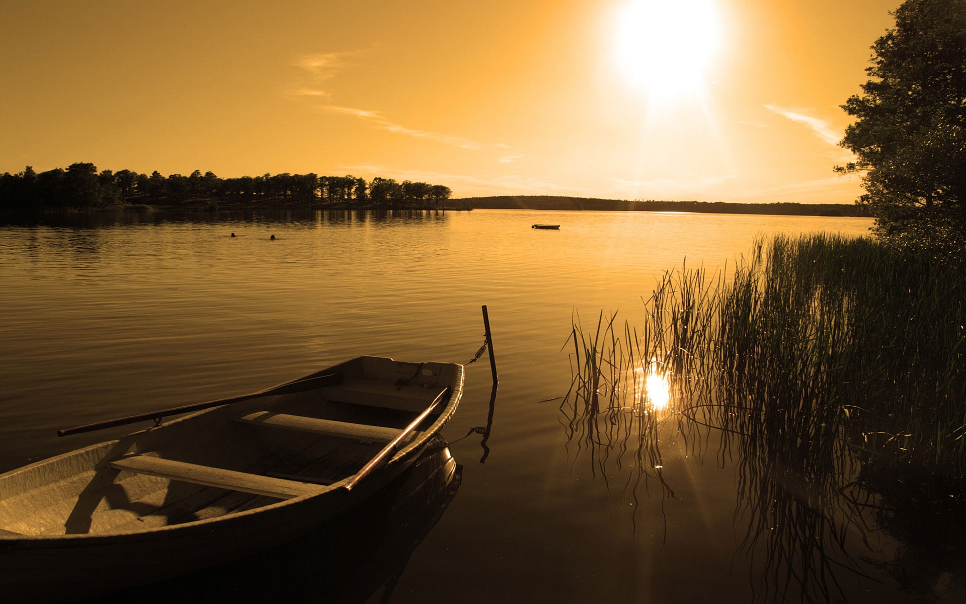 Good-Morning-With-Sunset-wallpaper. [downloaded with 1stBrowser].jpg
