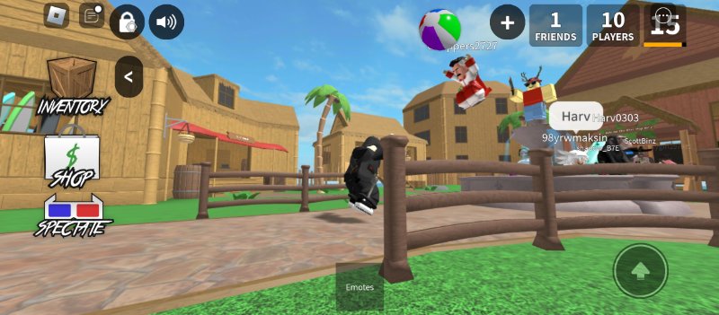 Screenshot_2024-07-29-22-28-47-945_com.roblox.client.jpg
