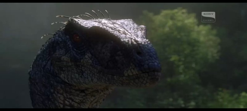 Screenshot_2025-10-11-11-04-14-557_com.creativelabs.iptvplayer.jpg