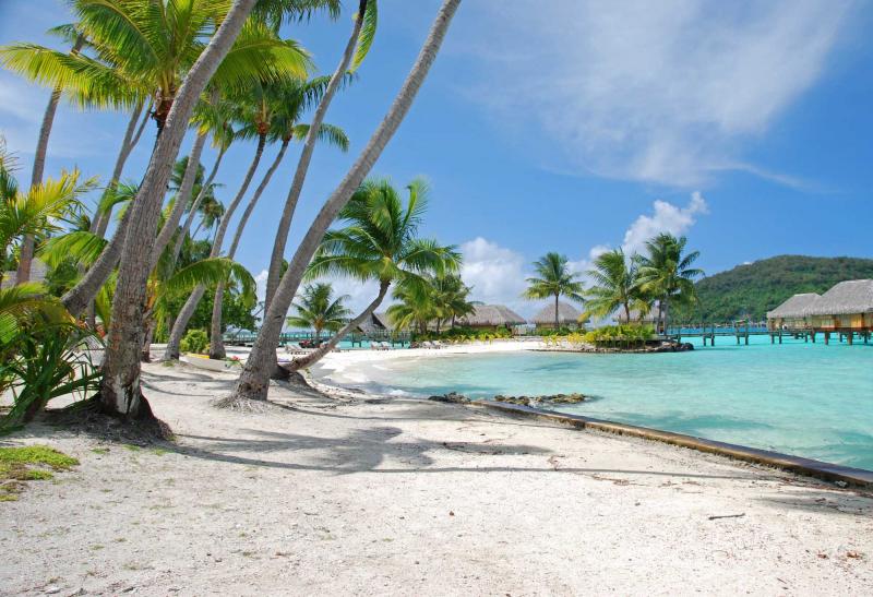 cook_island_honeymoon_beach. [downloaded with 1stBrowser].jpg